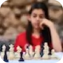 xadrez
